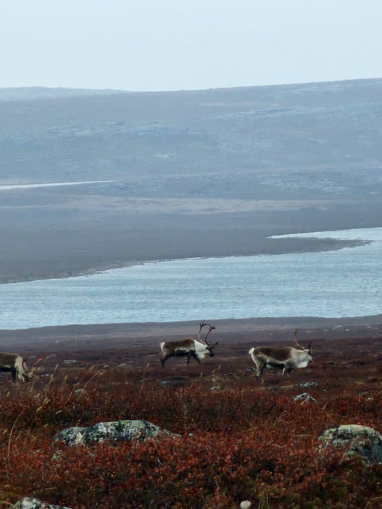 Image 1 of TPA Outfitters