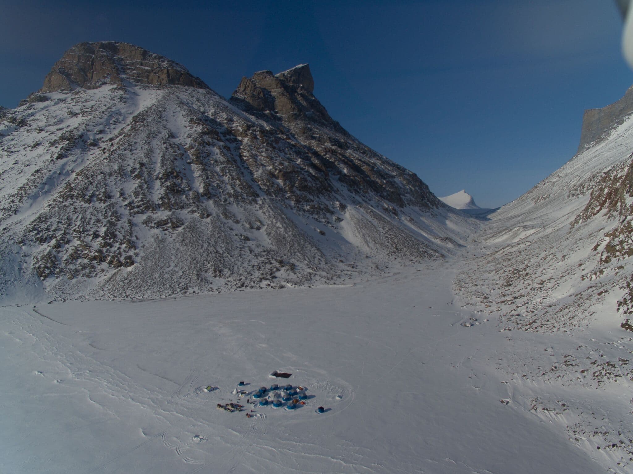 Image 4 of Baffin Safari
